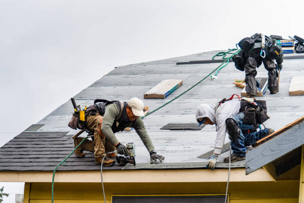 Professional Gutter Installation technician working in Newport, AR